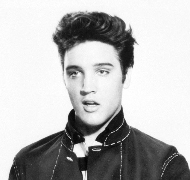 Happy Birthday, Elvis. Posted on January 8, 2010 by nearlynamedelvis| Leave 